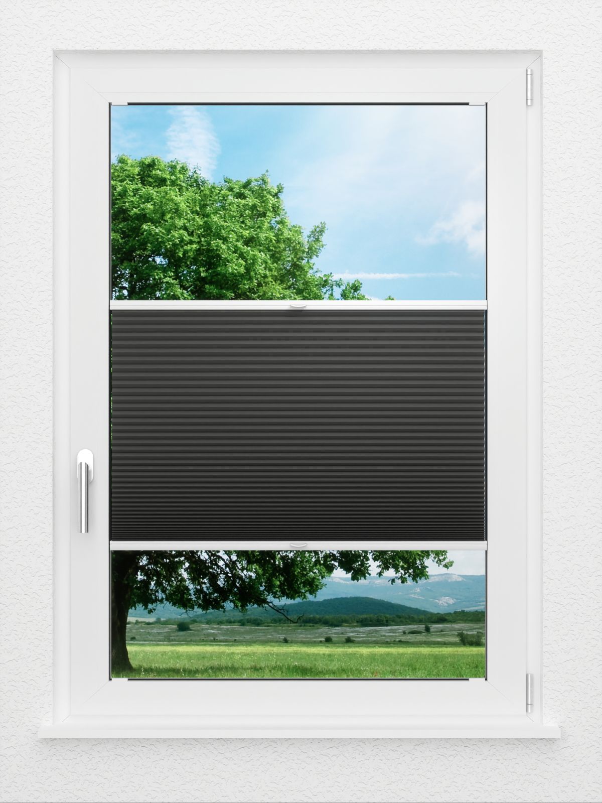 Detailansicht LYSEL HOME Plissee 034A Nana BO Wabe