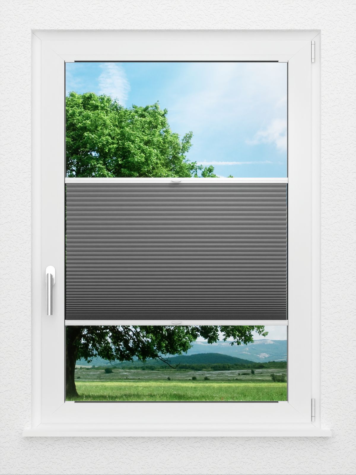 Detailansicht LYSEL HOME Plissee 007A Alba LI Wabe