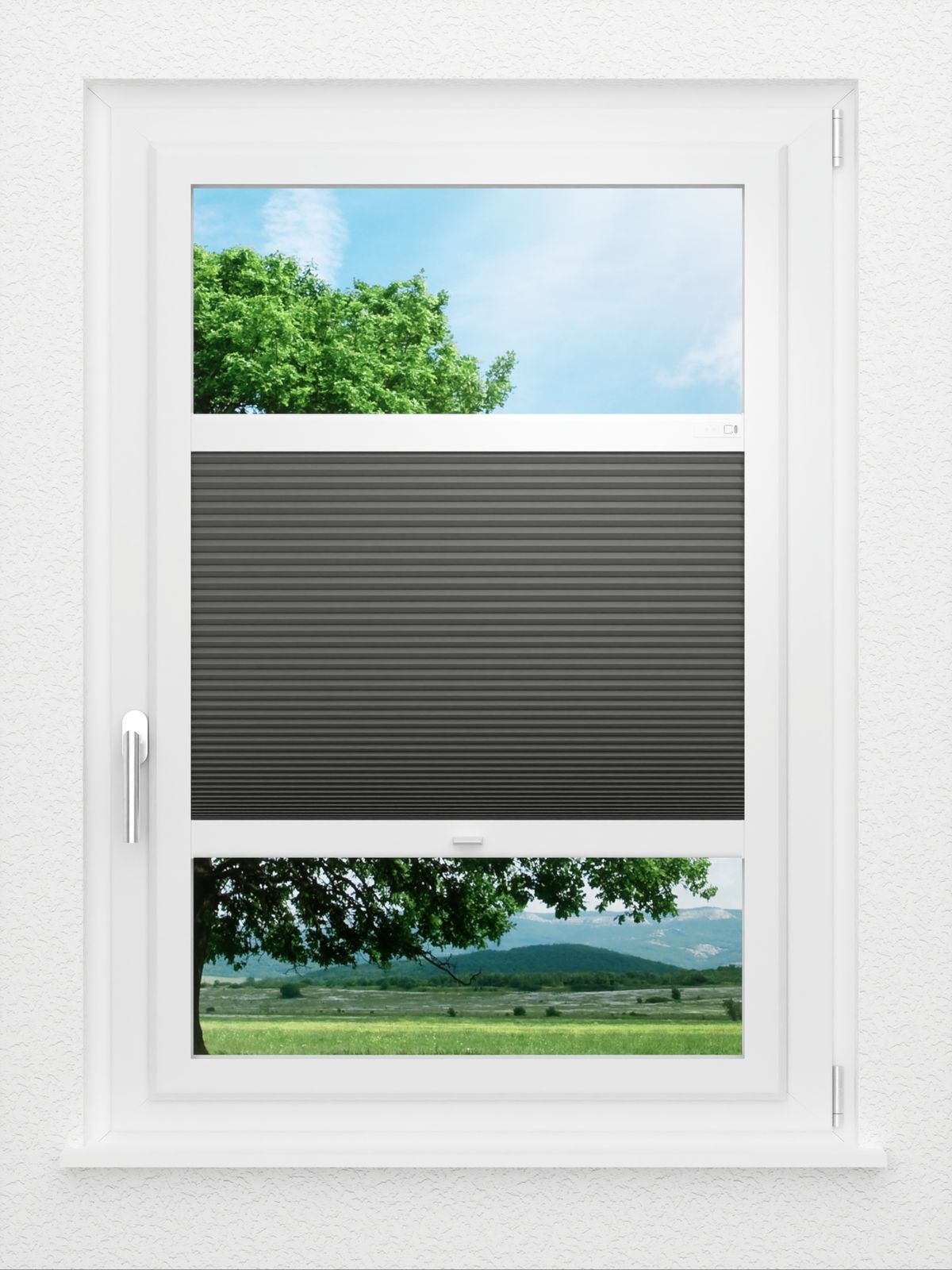Detailansicht LYSEL HOME Plissee 037A Alba LI Wabe