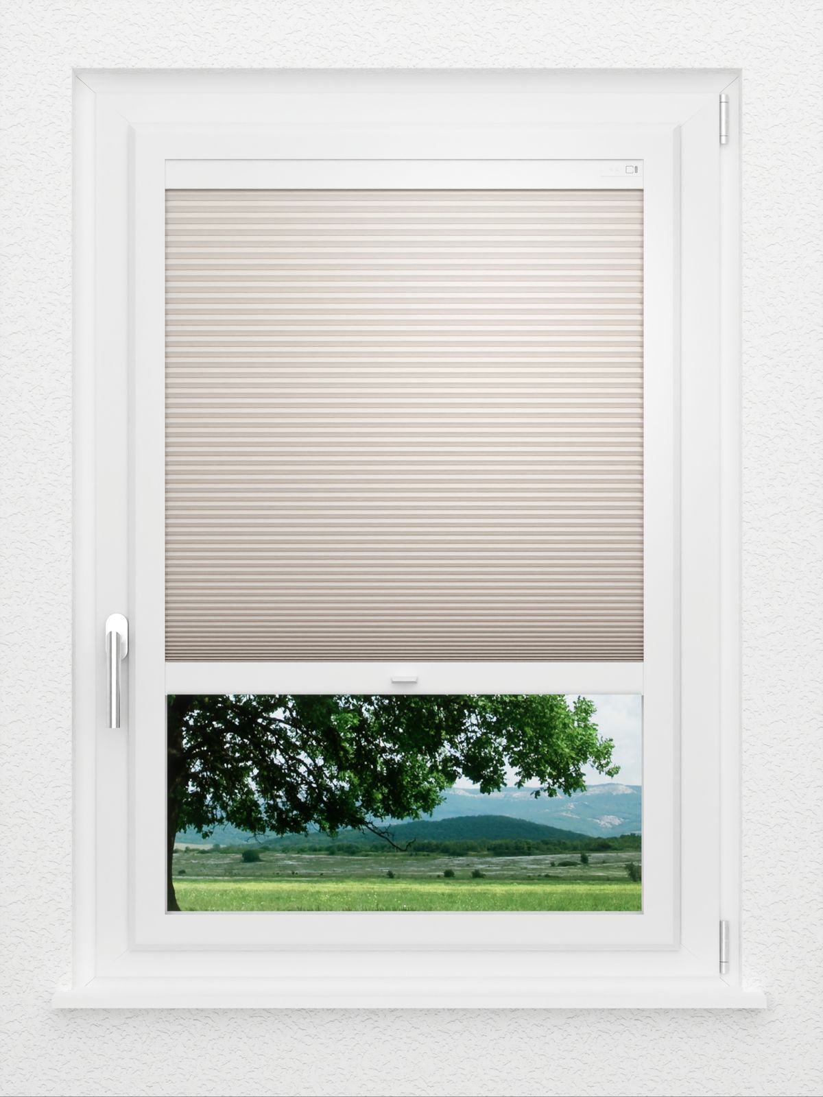 Detailansicht LYSEL HOME Plissee 011A Alba LI Wabe