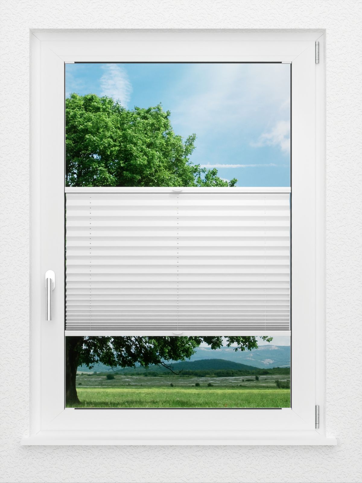 Detailansicht LYSEL HOME Plissee 209B Aralia Pearl