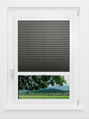 Preview LYSEL HOME Plissee 208A Aralia 1