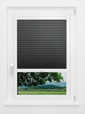 Preview LYSEL HOME Plissee 137A Aralia 1