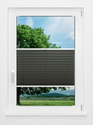 Preview LYSEL HOME Plissee 202A Aralia BO 0