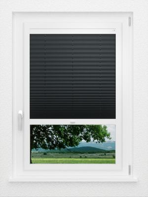 Preview LYSEL HOME Plissee 116A Pinus BO 1