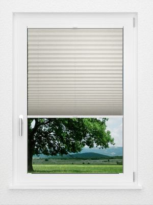 Preview LYSEL HOME Plissee 224A Betula BO 1