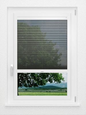 Preview LYSEL HOME Plissee 112A Calluna 1