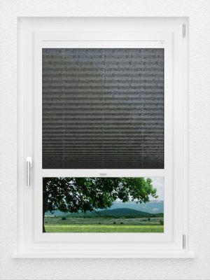 Preview LYSEL HOME Plissee 431A Farne 1