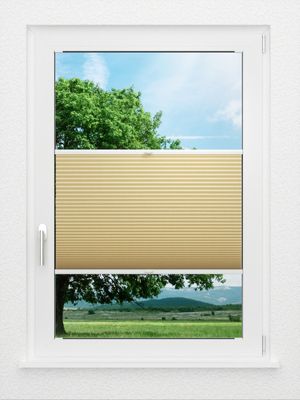 Preview LYSEL HOME Plissee 031A Alba LI Wabe 0