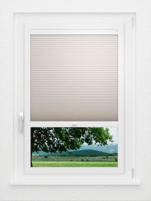 Preview LYSEL HOME Plissee 011A Alba LI Wabe 1