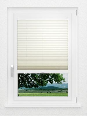 Preview LYSEL HOME Plissee 317A Naturalis 1