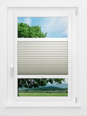 Preview LYSEL HOME Plissee 212B Aralia Pearl 0