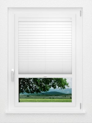 Preview LYSEL HOME Plissee 205B Aralia 1