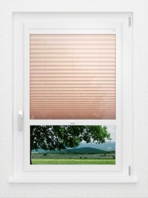 Preview LYSEL HOME Plissee 440A Plain 1