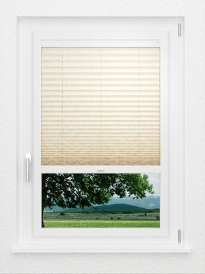 Preview LYSEL HOME Plissee 328A Shiny Rings 1