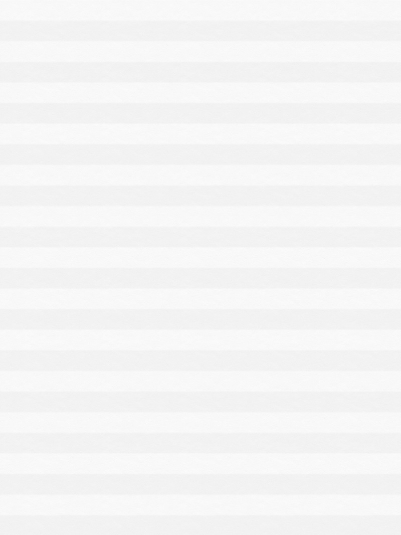 Preview LYSEL HOME Plissee 005A Nana BO Wabe 3