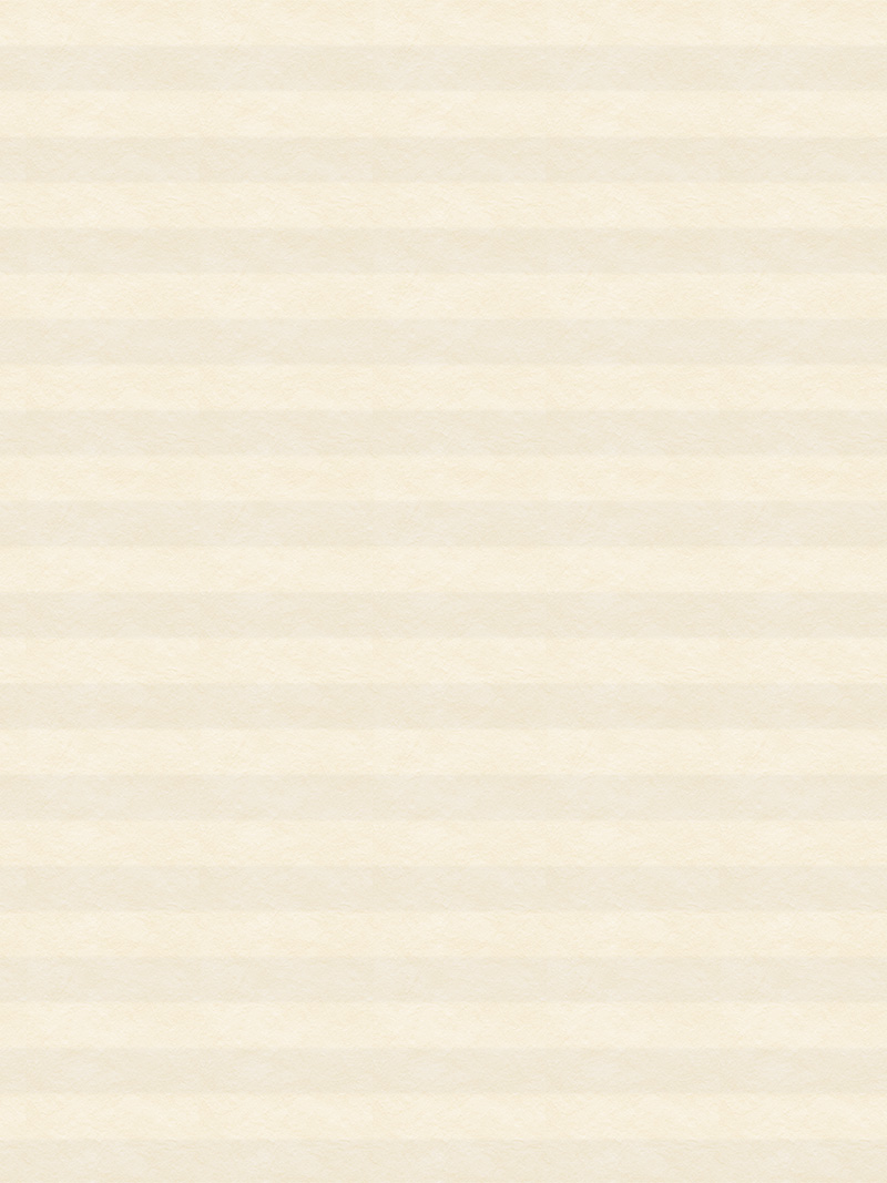 Preview LYSEL HOME Plissee 013A Alba LI Wabe 3