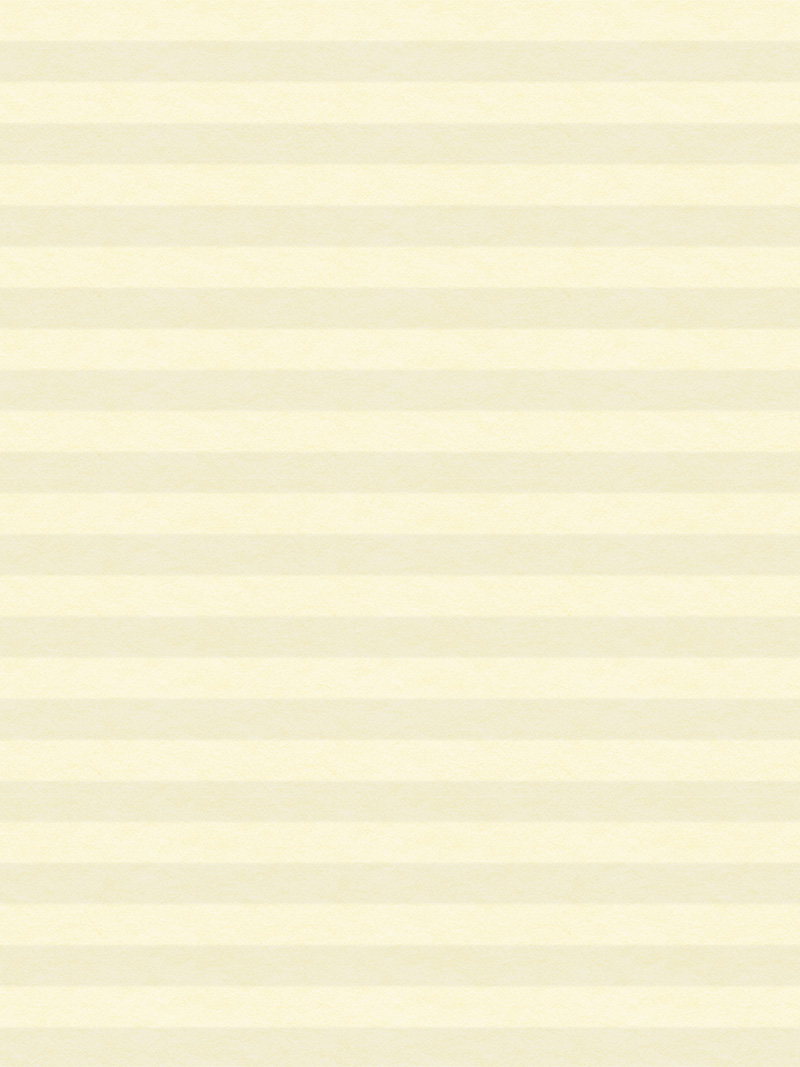 Preview LYSEL HOME Plissee 014A Alba LI Wabe 4