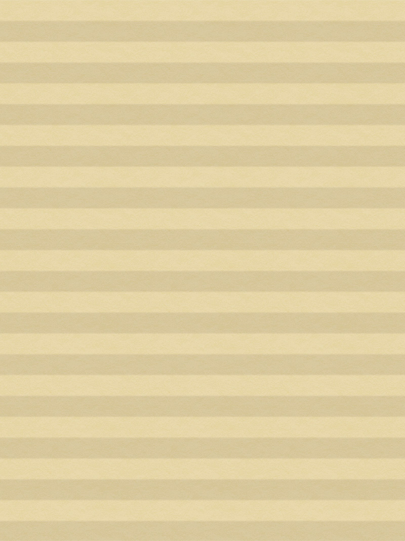 Preview LYSEL HOME Plissee 031A Alba LI Wabe 4