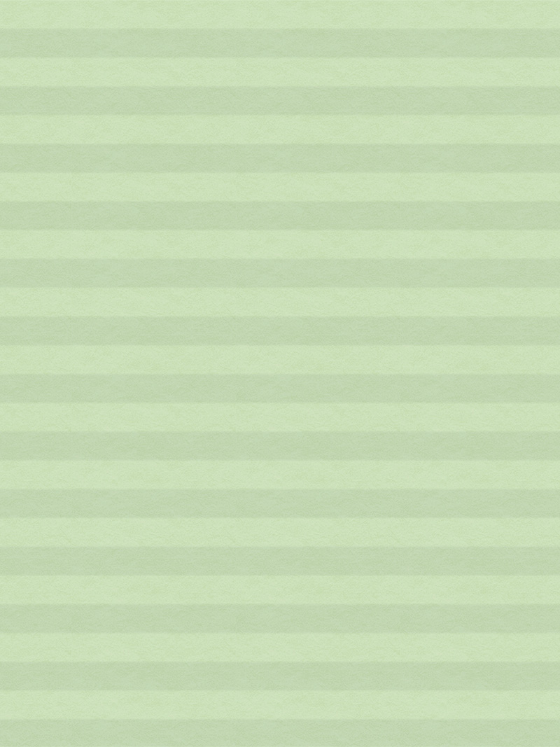 Preview LYSEL HOME Plissee 027A Alba LI Wabe 4