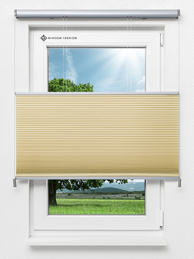 Simple Comb SC Fensteransicht