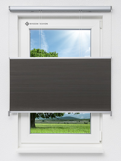 Tender Comb BO 9309.3636 Fensteransicht
