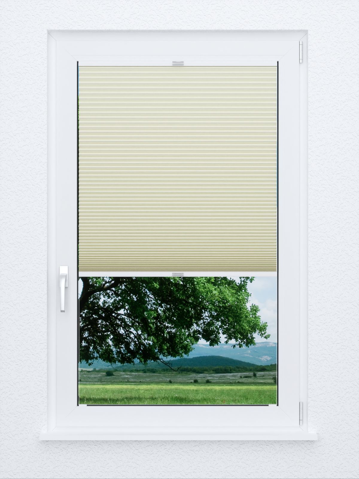 Detailansicht Evenly Comb LI 7203.7010