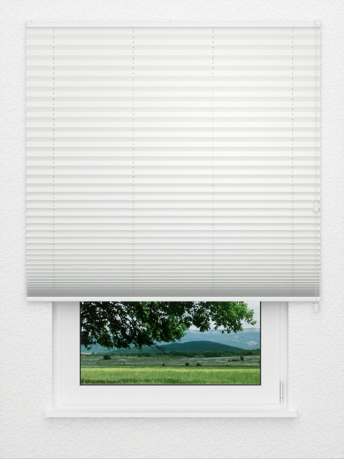 Detailansicht Plissee Krepp B1