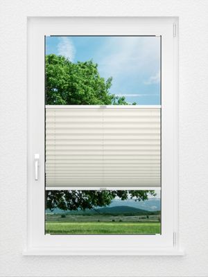 Preview Plissee Krepp B1 0
