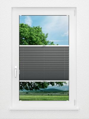 Preview Plissee Krepp B1 0