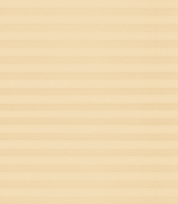 Detailansicht Plissee Krepp B1 19.0302