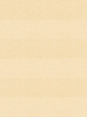 Preview Plissee Krepp B1 19.0302 5