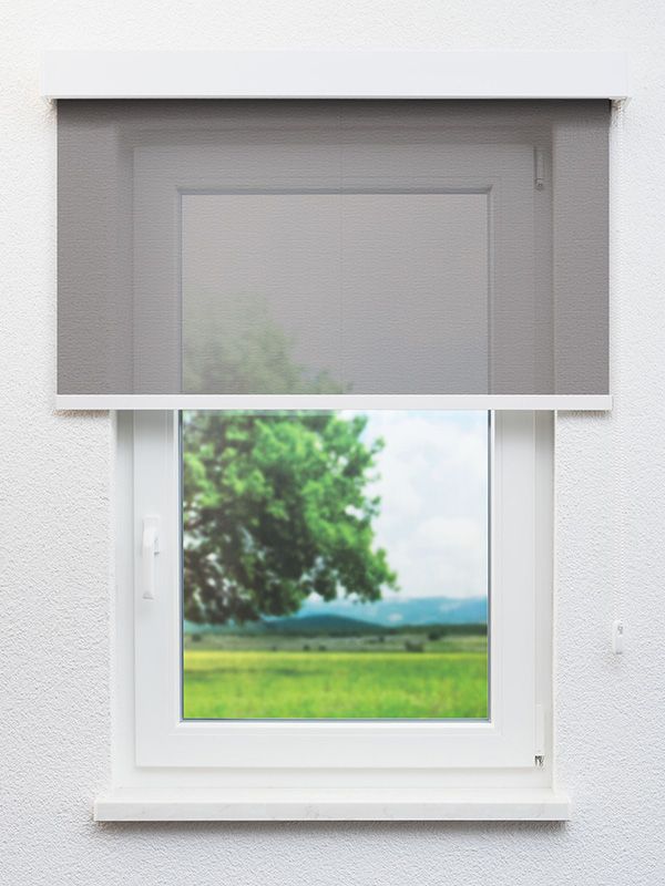 Detailansicht Bühl 10.407e