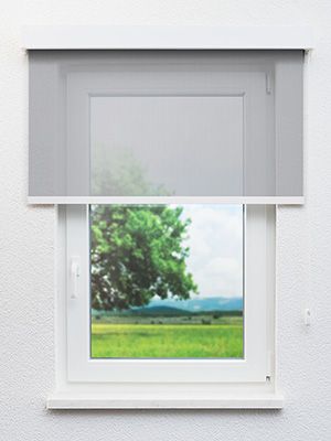 Preview Dassel 00.161e 0