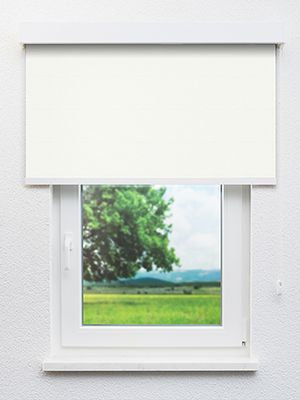 Preview Asellus 102555L 0