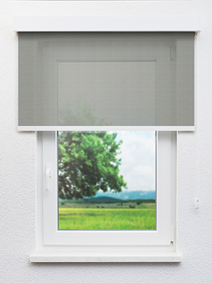 Preview Algenib 902846L 0