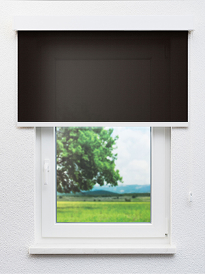 Preview Ceginus 802857L 0