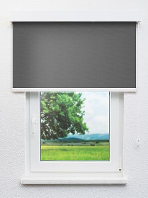 Preview Acamar 902871L 0