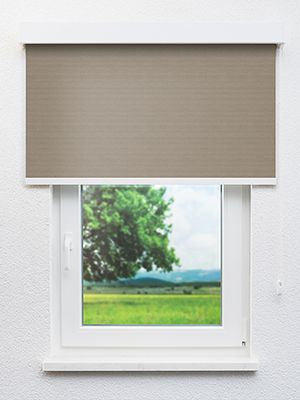 Preview Reva 702909L 0