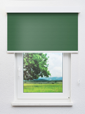 Preview Alya BO 602930L 0