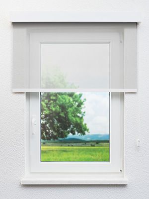 Preview Friedberg 12.416e 0