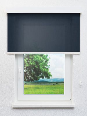 Preview Fürstenau 85.676e 0