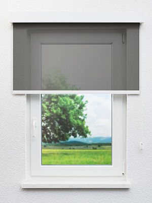 Preview Dassow 40.028e 0