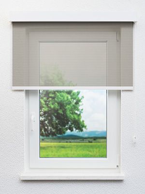 Preview Dassow 91.028e 0