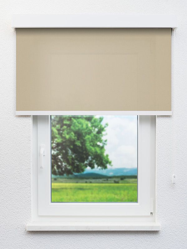 Detailansicht Clingen 81.040e