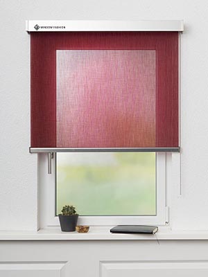 Rollo Anser 5504.1506 Fensteransicht