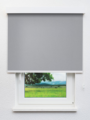 Delbrück 90.112e Fensteransicht