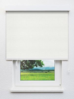 Aludra 102544L Fensteransicht