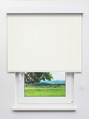 Alula 102558L Fensteransicht