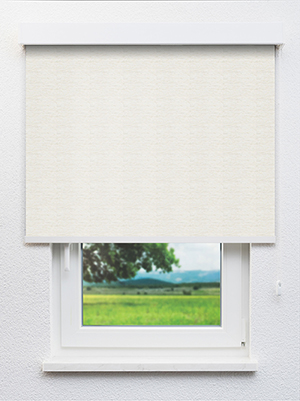 Alschain BO 202666L Fensteransicht